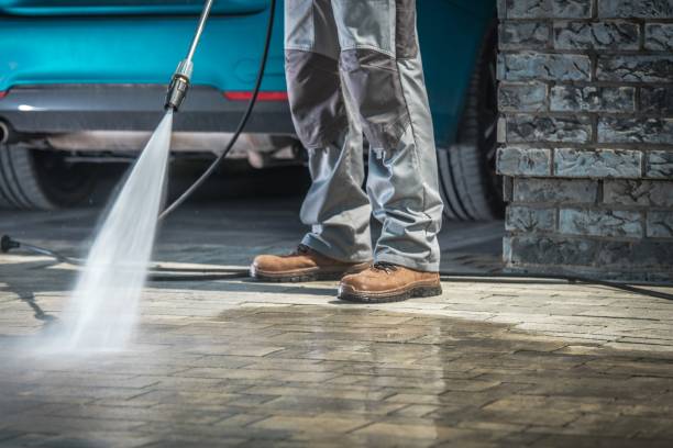 Best Gutter Cleaning  in Hawkinsville, GA