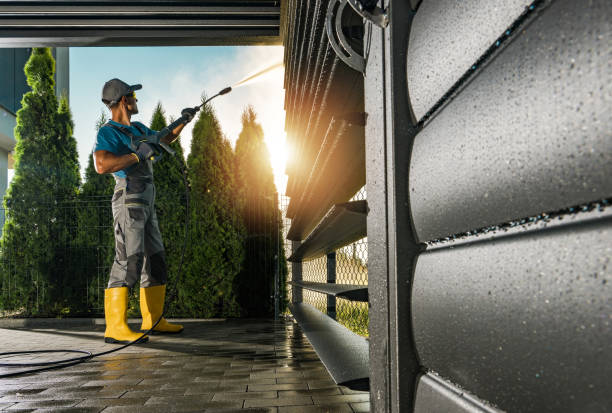 Best Roof Washing  in Hawkinsville, GA
